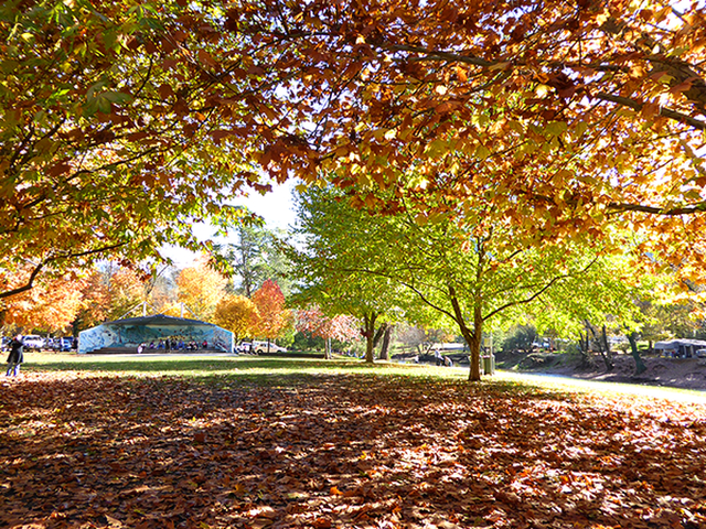 A Walk In The ParkPhotography by Sharon Alston